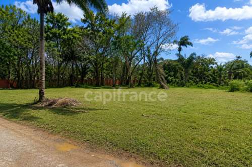 Macouria Guyane terrain foto 7400552
