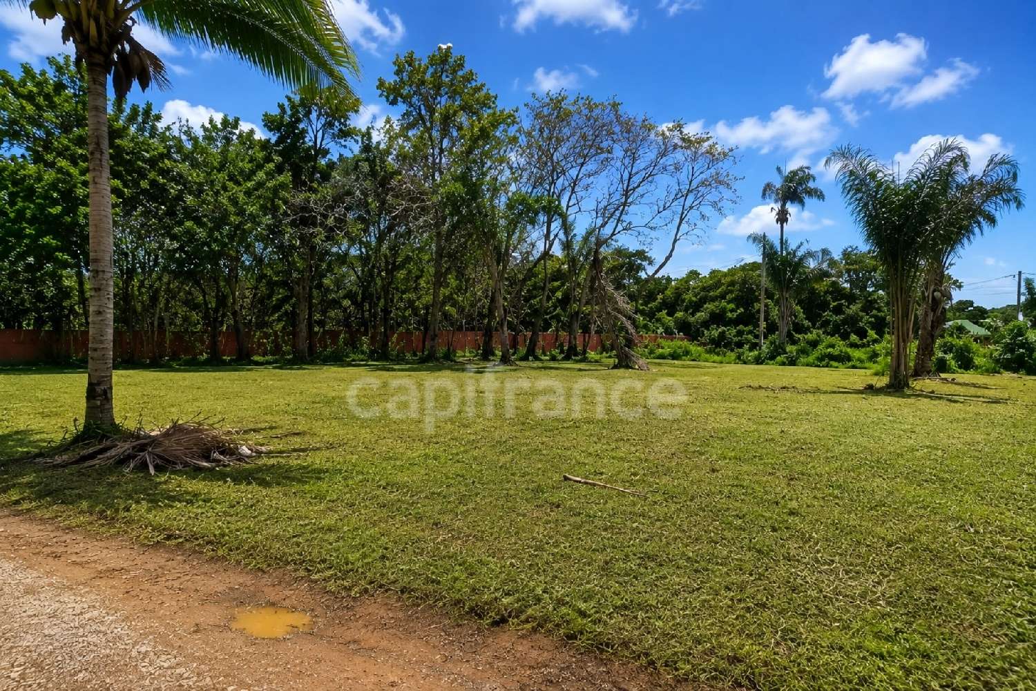 for sale terrain Macouria Guyane 1