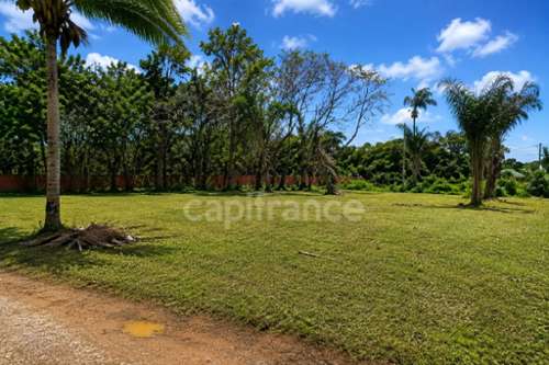 Macouria Guyane terrain foto 7400553
