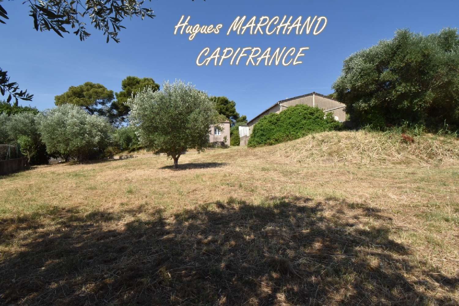 for sale terrain Murviel-lès-Béziers Hérault 2