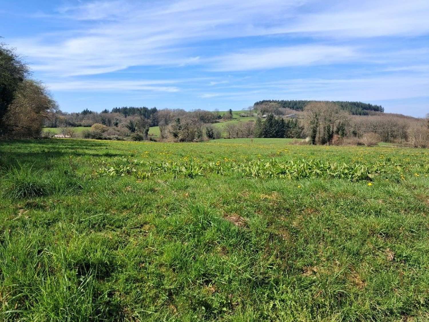 te koop terrein Neuvic-Entier Haute-Vienne 1