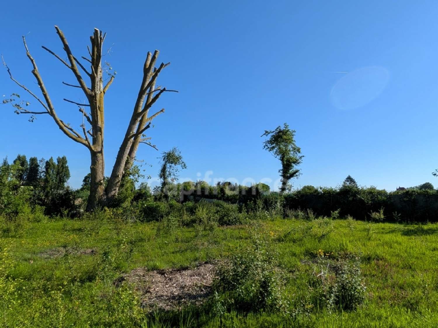 kaufen Grundstück Neuville-en-Ferrain Nord 3