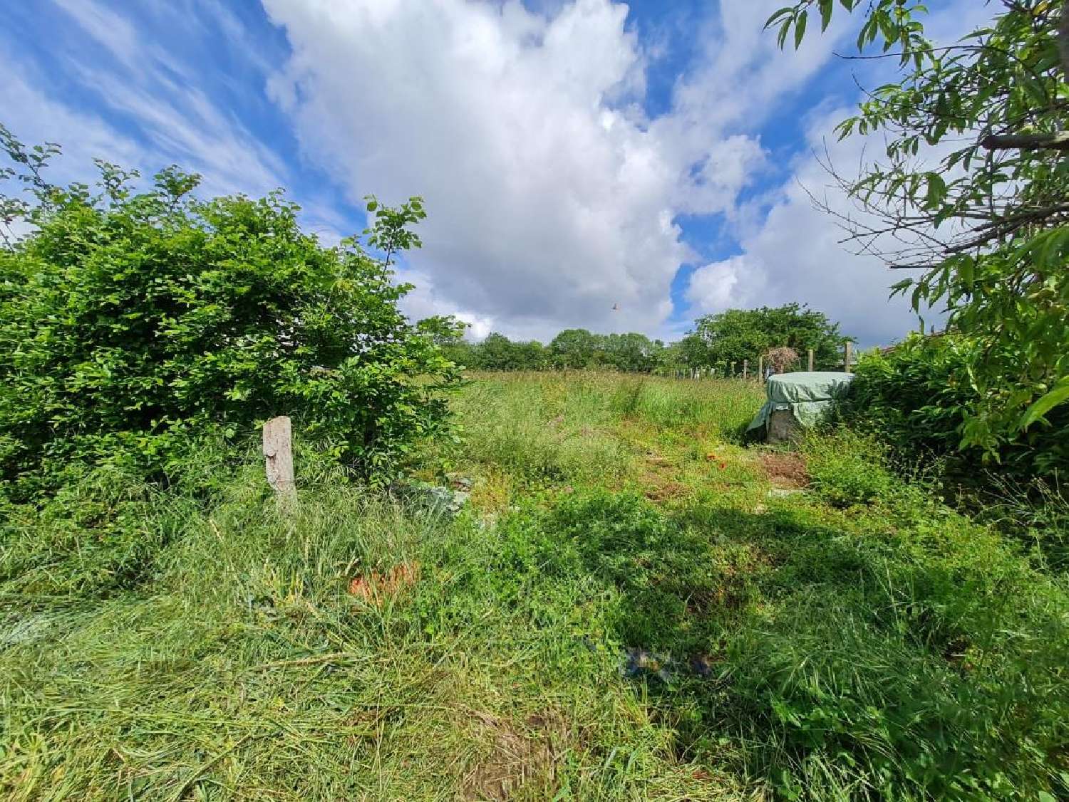 for sale terrain Nieuil Charente 1