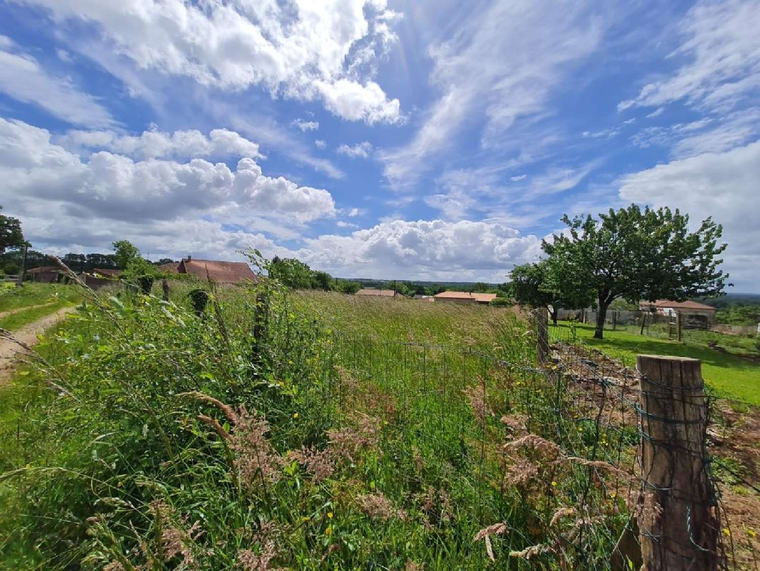 for sale terrain Nieuil Charente 2