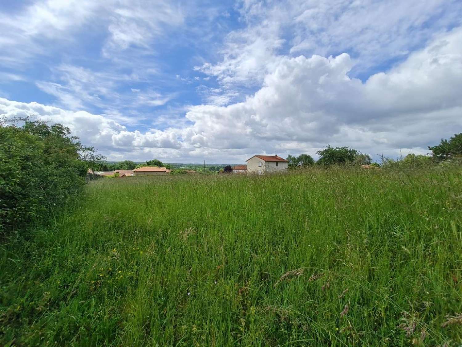 for sale terrain Nieuil Charente 3
