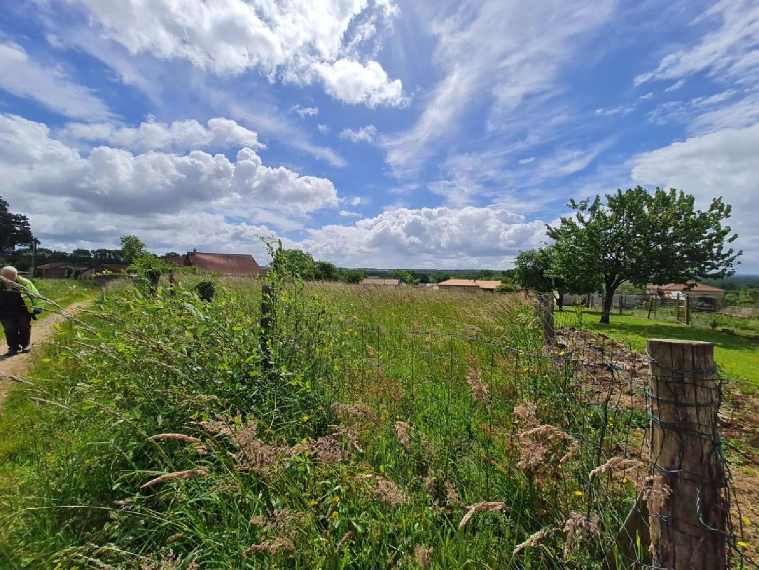 for sale terrain Nieuil Charente 5
