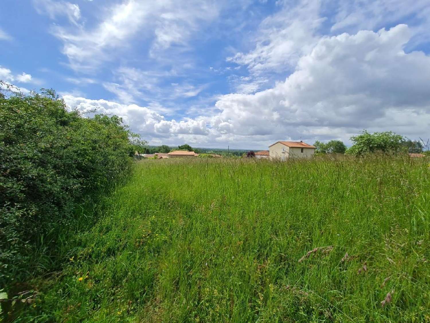for sale terrain Nieuil Charente 6