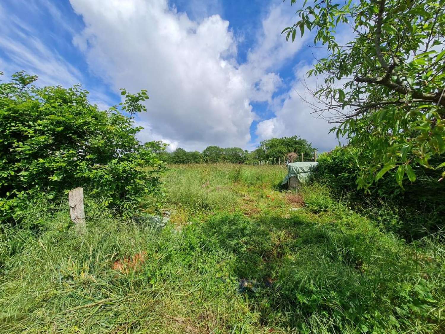 for sale terrain Nieuil Charente 7