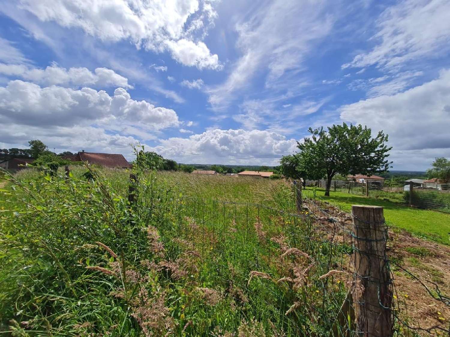 for sale terrain Nieuil Charente 8
