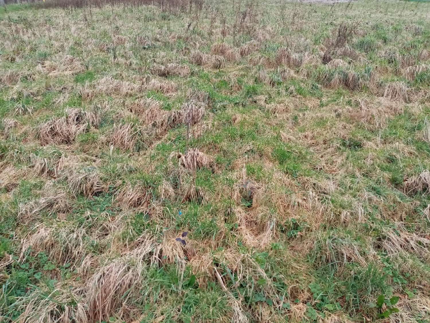 for sale terrain Normanville Seine-Maritime 1