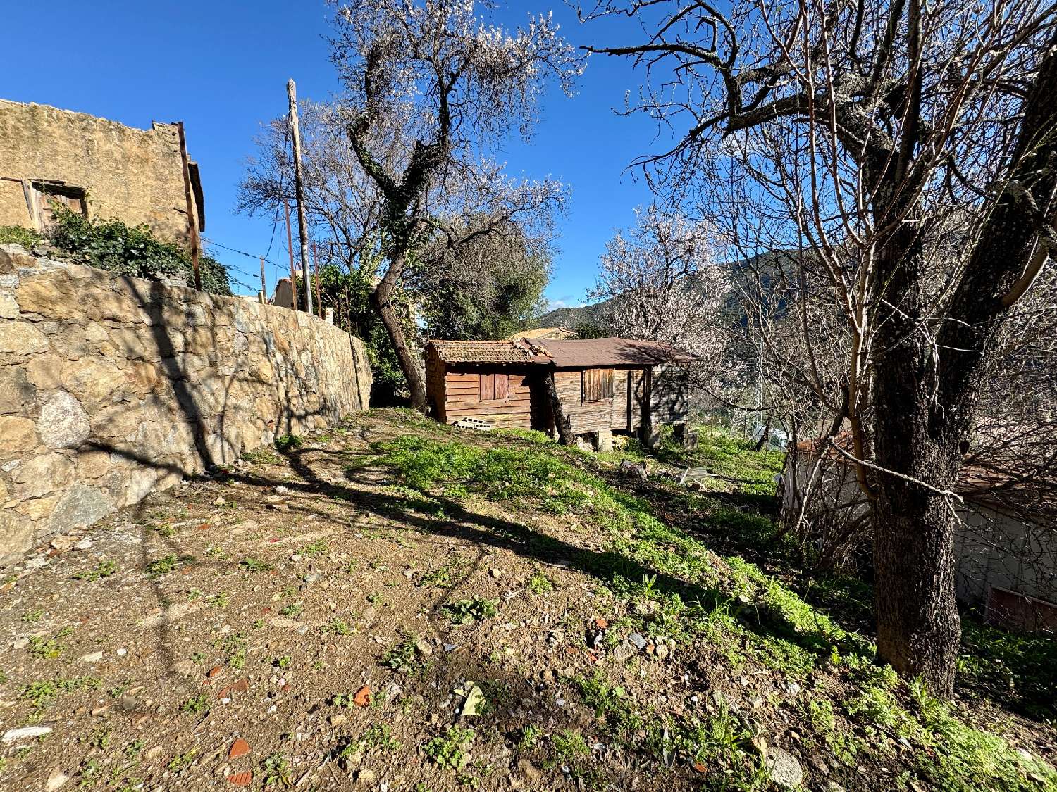 te koop terrein Occhiatana Haute-Corse 4