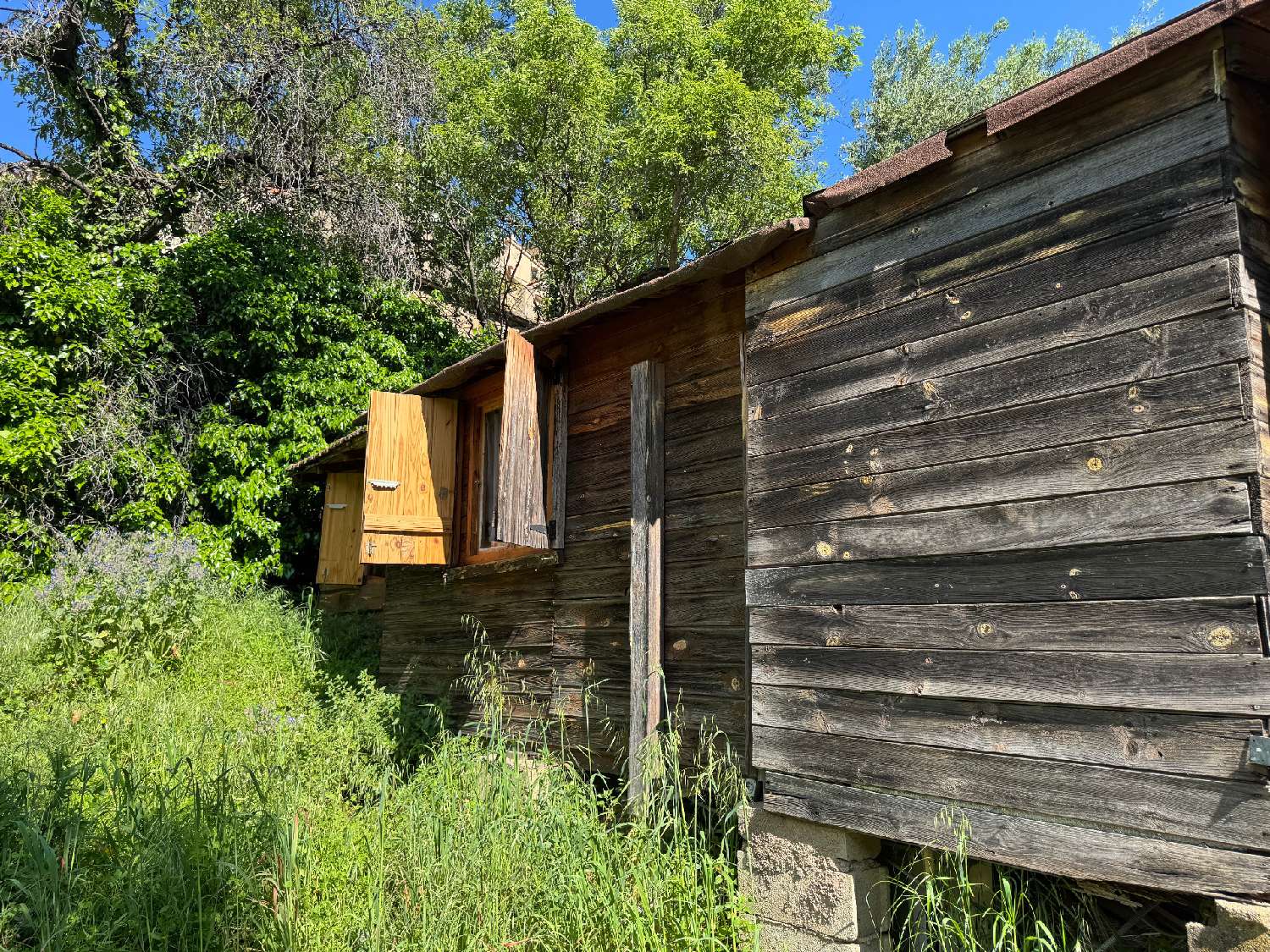 te koop terrein Occhiatana Haute-Corse 8