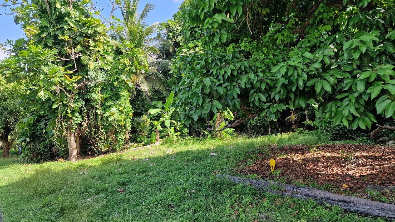 kaufen Grundstück Petit-Bourg Guadeloupe 1