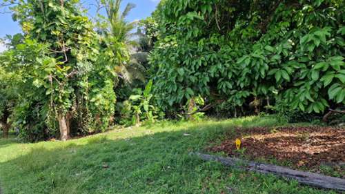 Petit-Bourg Guadeloupe Grundstück Bild 7395391