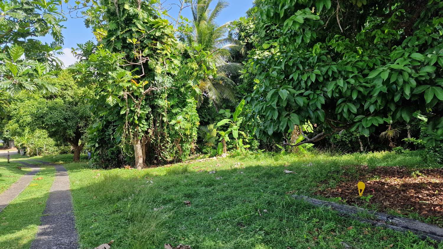 kaufen Grundstück Petit-Bourg Guadeloupe 2