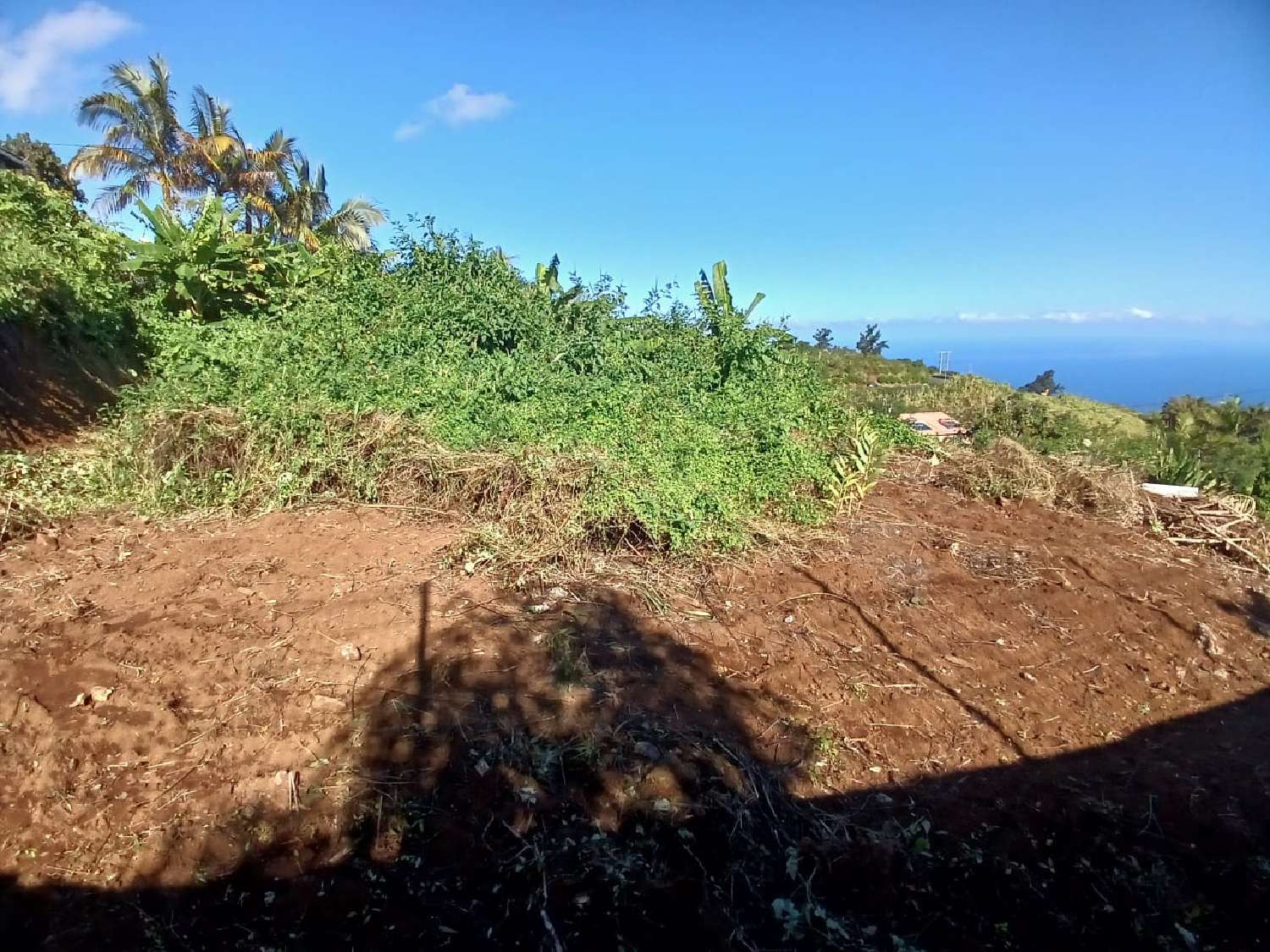 for sale terrain Petite-Île La Réunion 5