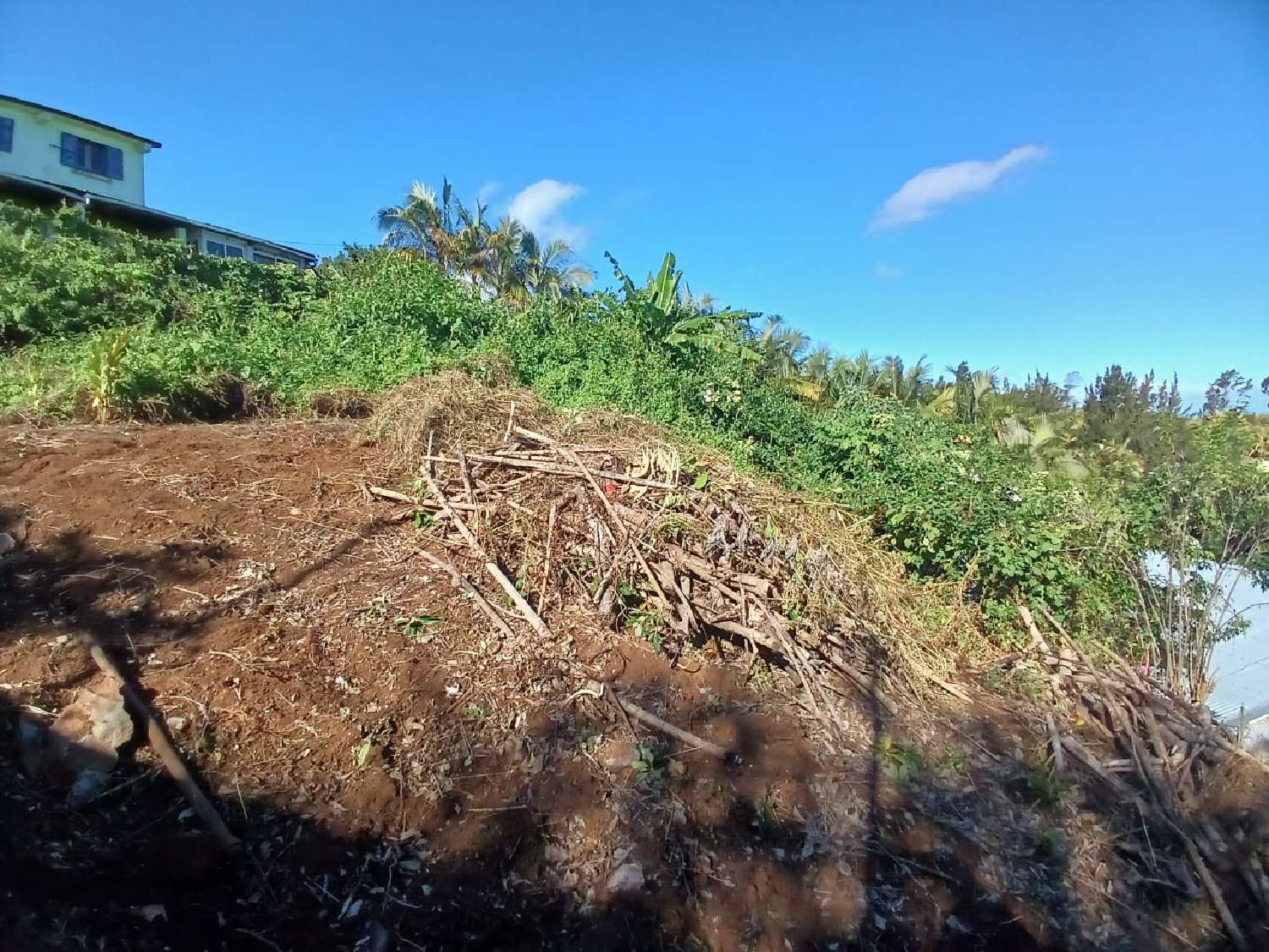 for sale terrain Petite-Île La Réunion 6