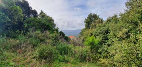 Petreto-Bicchisano Corse-du-Sud terrain foto 7392195