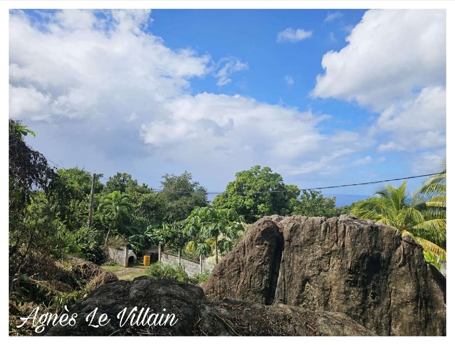  for sale terrain Pointe-Noire Guadeloupe 2