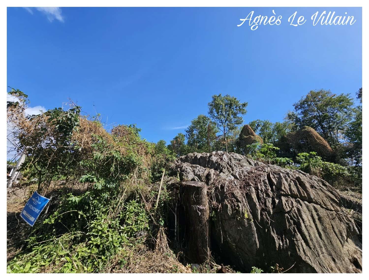  for sale terrain Pointe-Noire Guadeloupe 5