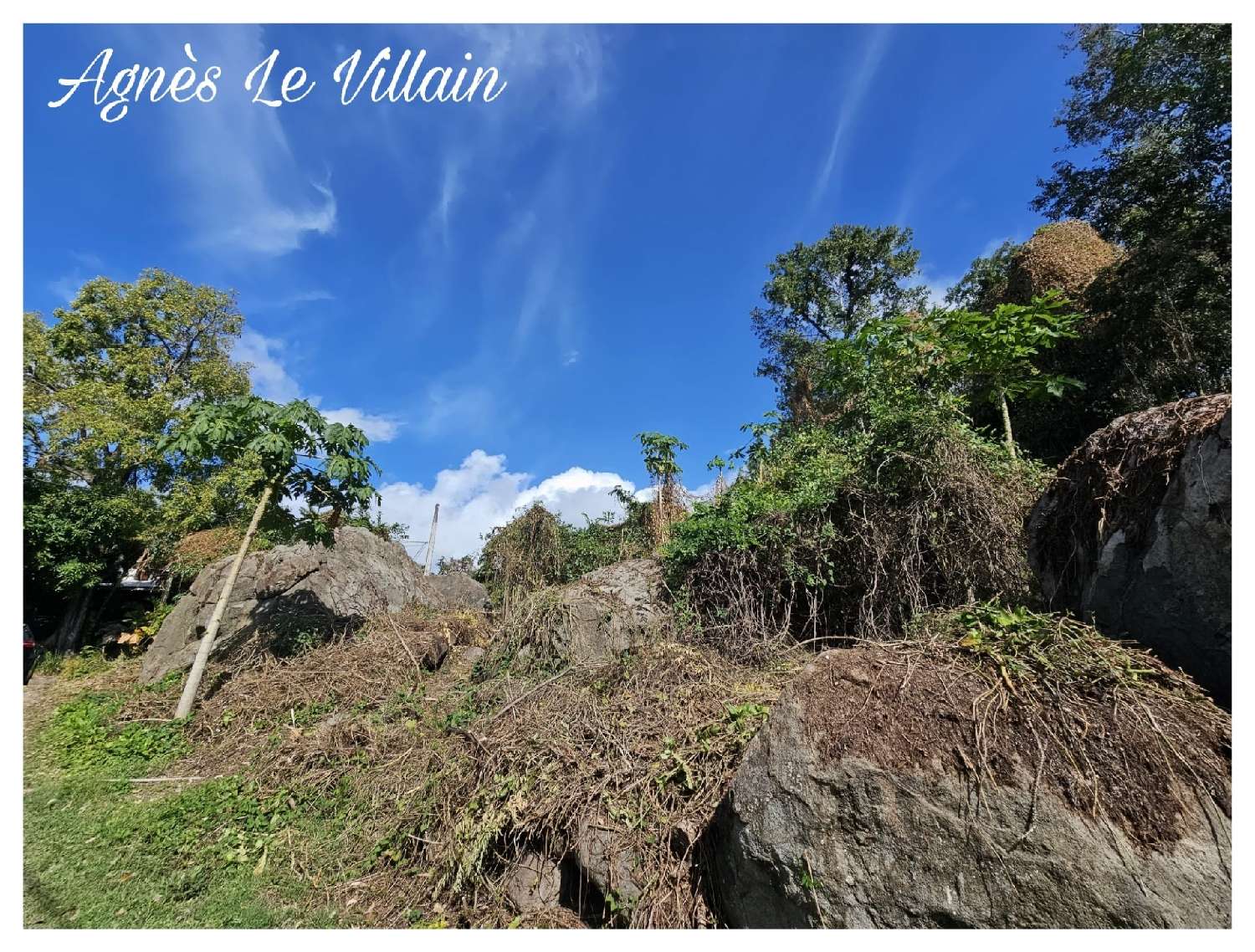  for sale terrain Pointe-Noire Guadeloupe 6