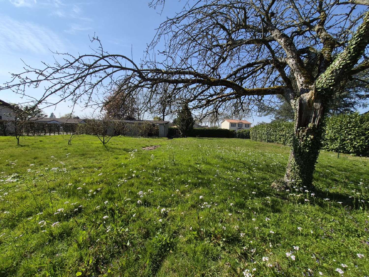 à vendre terrain Pont-de-Vaux Ain 1