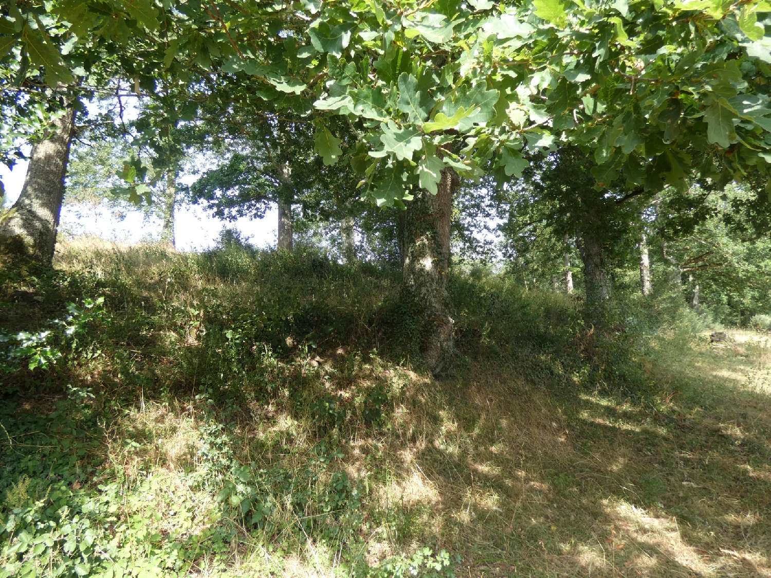 à vendre terrain Potigny Calvados 1