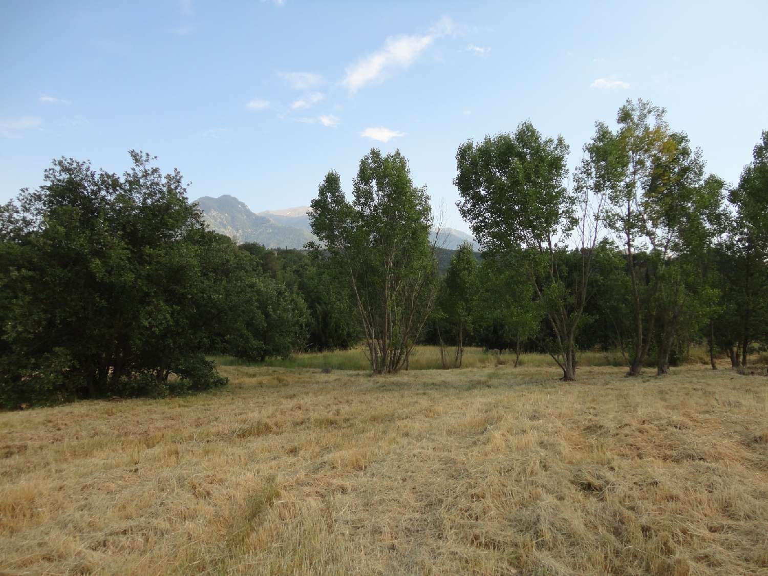 à vendre terrain Prades Pyrénées-Orientales 2