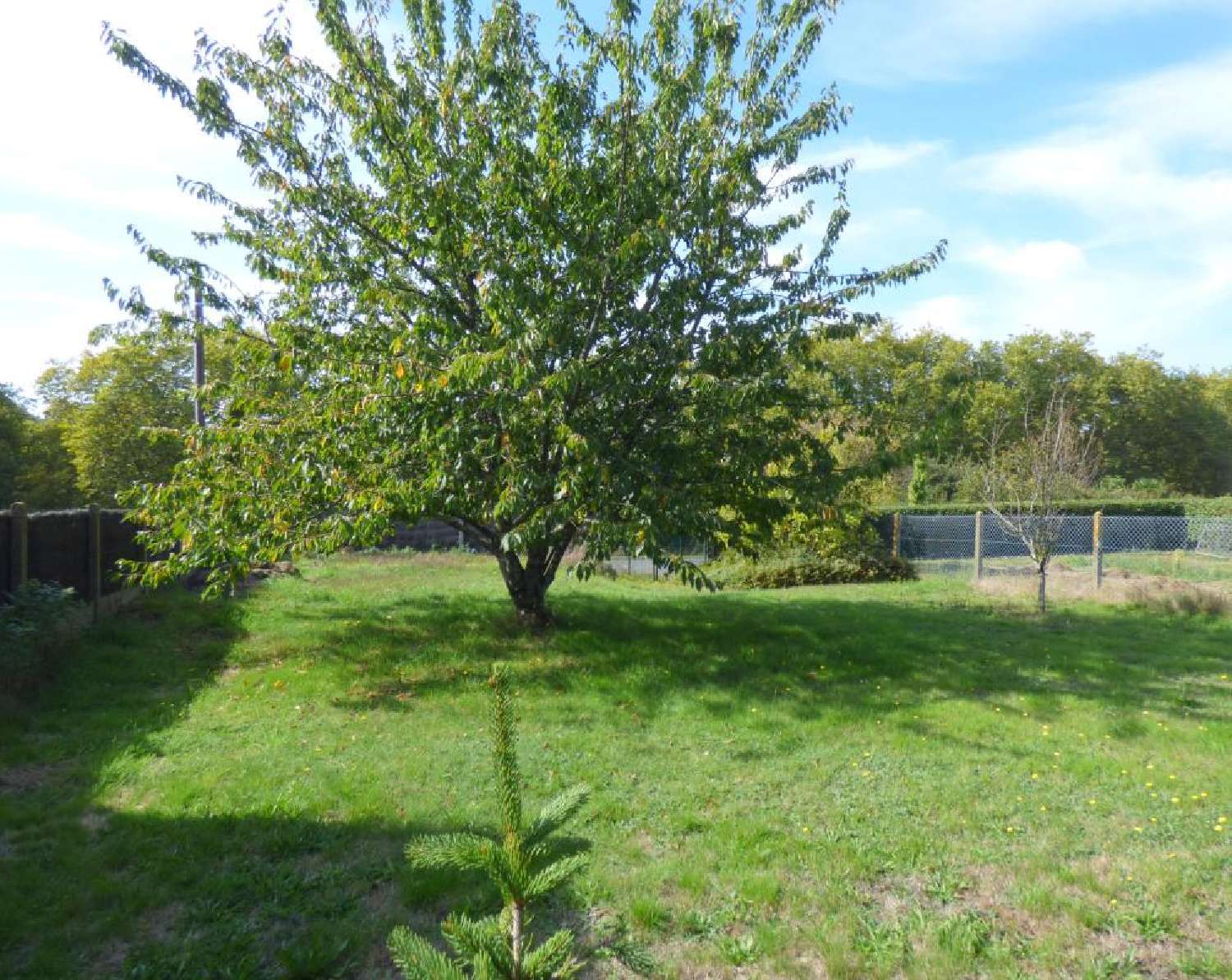 for sale terrain Redon Ille-et-Vilaine 1