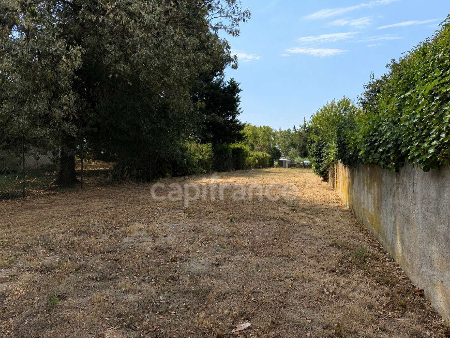  à vendre terrain Rieumes Haute-Garonne 4