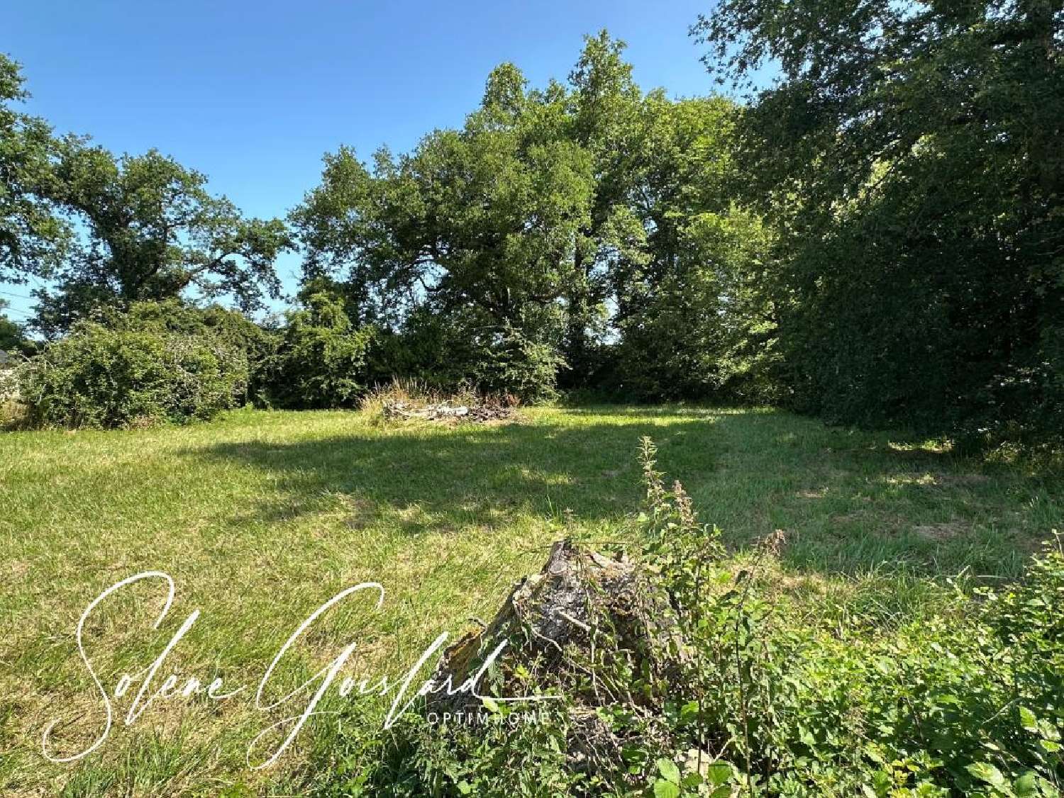 for sale terrain Rieux Morbihan 1
