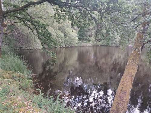 Rilhac-Lastours Haute-Vienne Grundstück foto