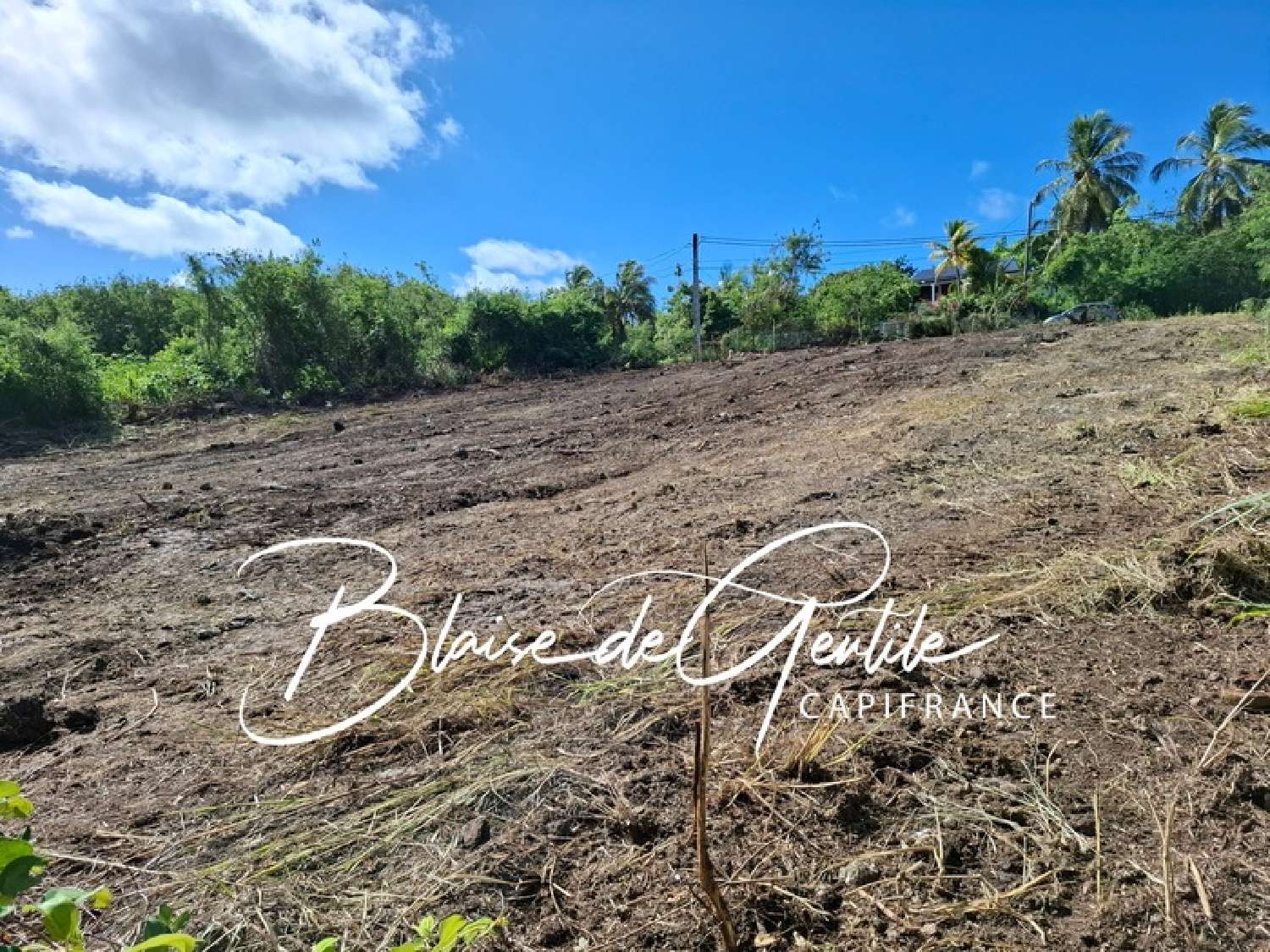 te koop terrein Saint-François Guadeloupe 3