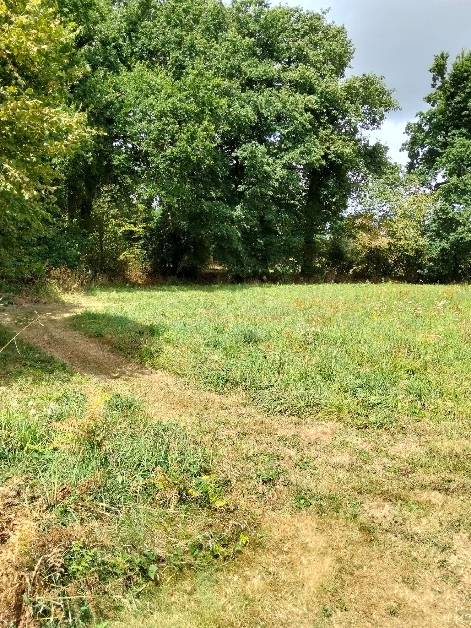  à vendre terrain Saint-Goazec Finistère 2