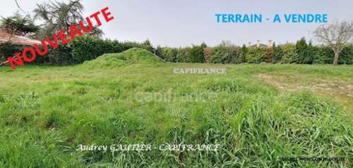 Saint-Hilaire-de-Chaléons Loire-Atlantique Grundstück Bild 7384241