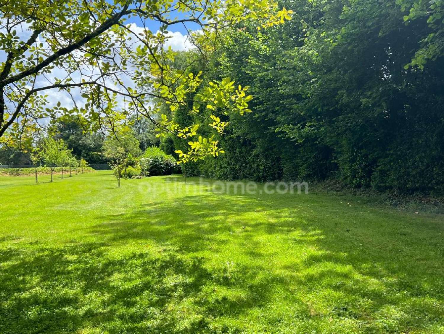  for sale terrain Saint-Pierre-Azif Calvados 3