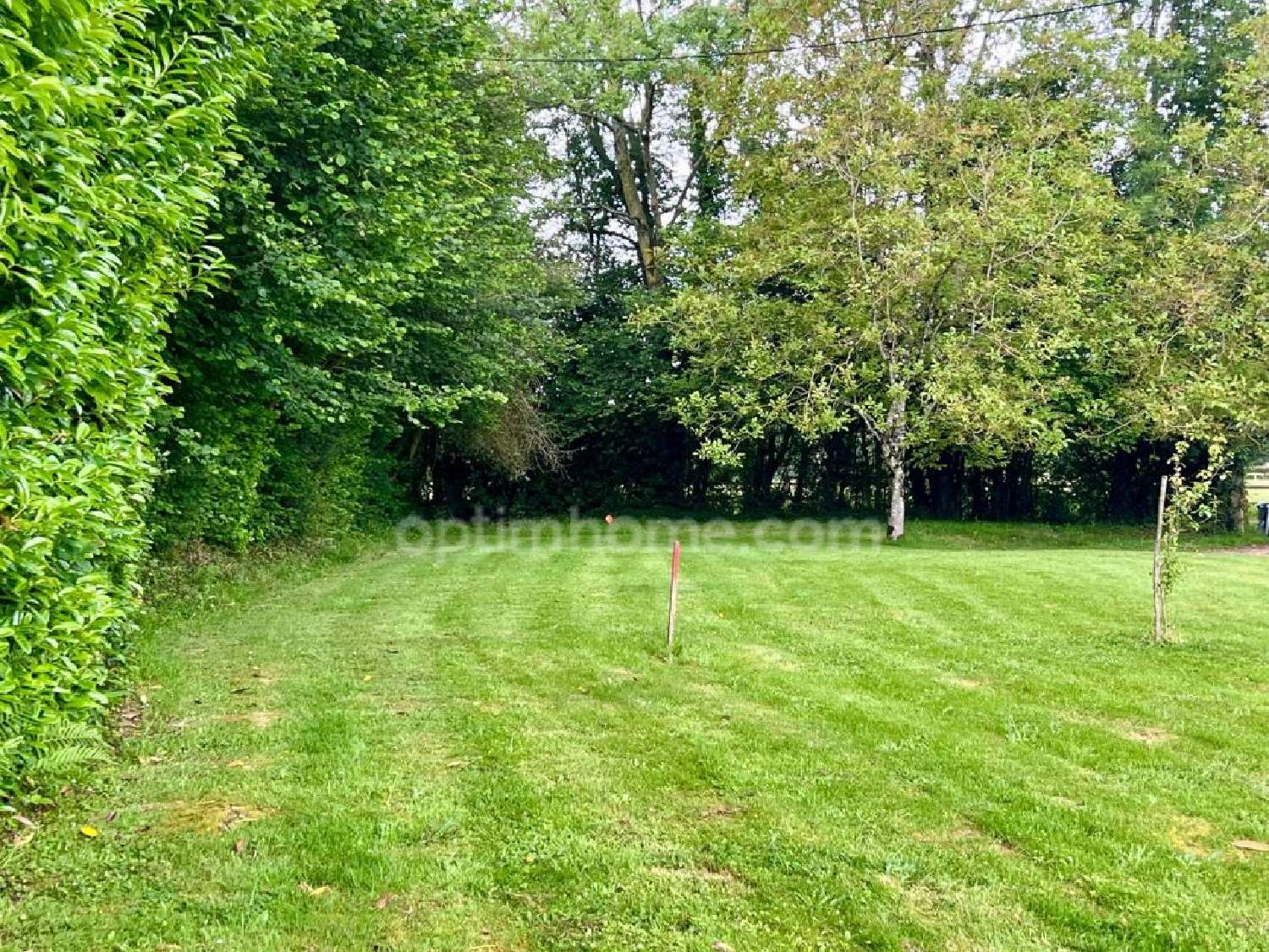  for sale terrain Saint-Pierre-Azif Calvados 5