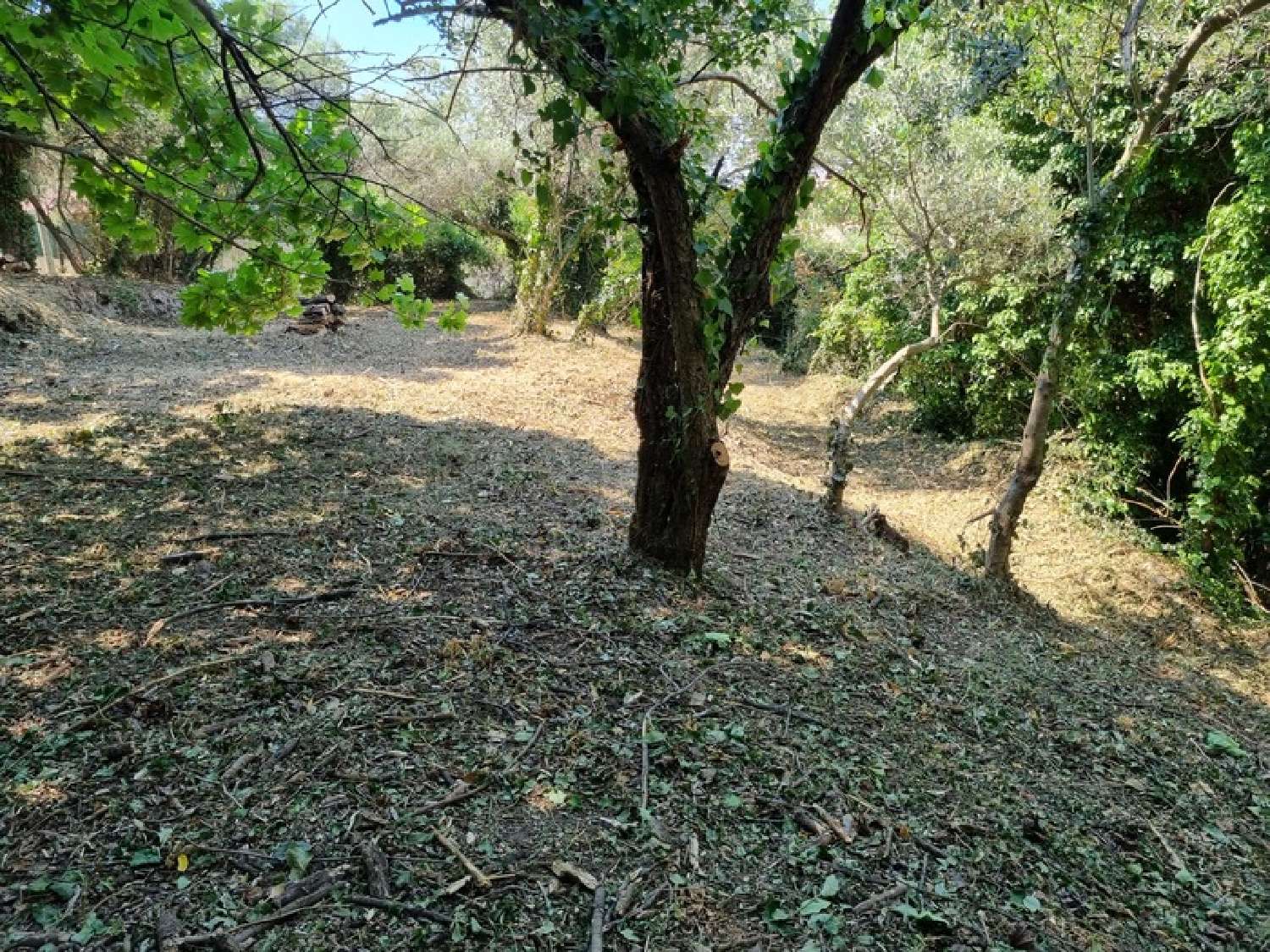 à vendre terrain Saint-Savournin Bouches-du-Rhône 3