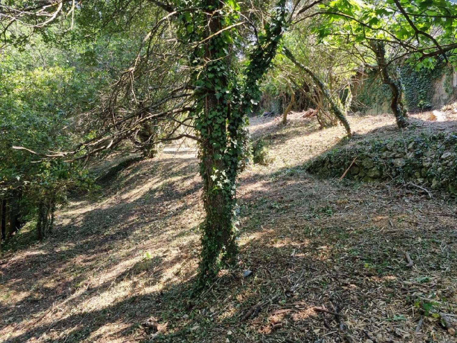 à vendre terrain Saint-Savournin Bouches-du-Rhône 6