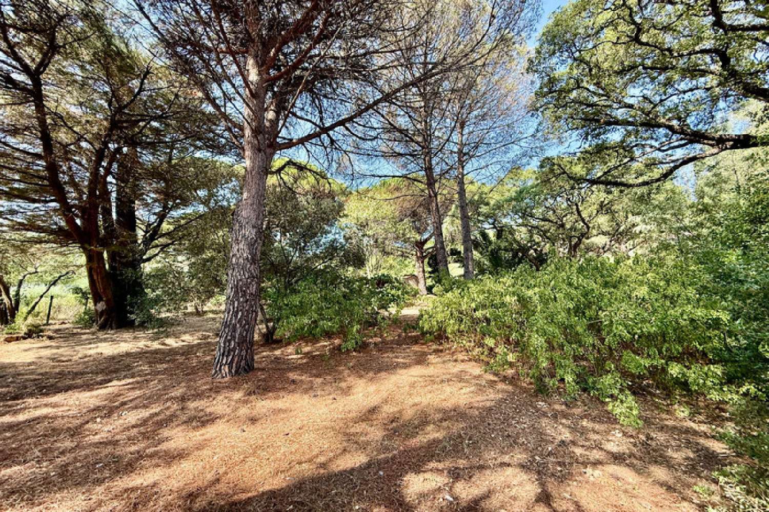  for sale terrain Sainte-Maxime Var 1