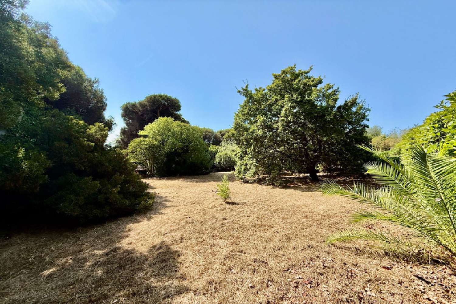  for sale terrain Sainte-Maxime Var 2
