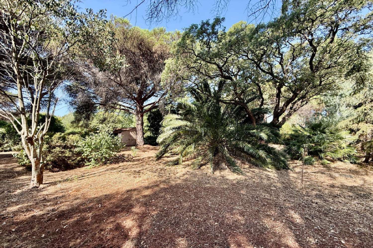 for sale terrain Sainte-Maxime Var 3