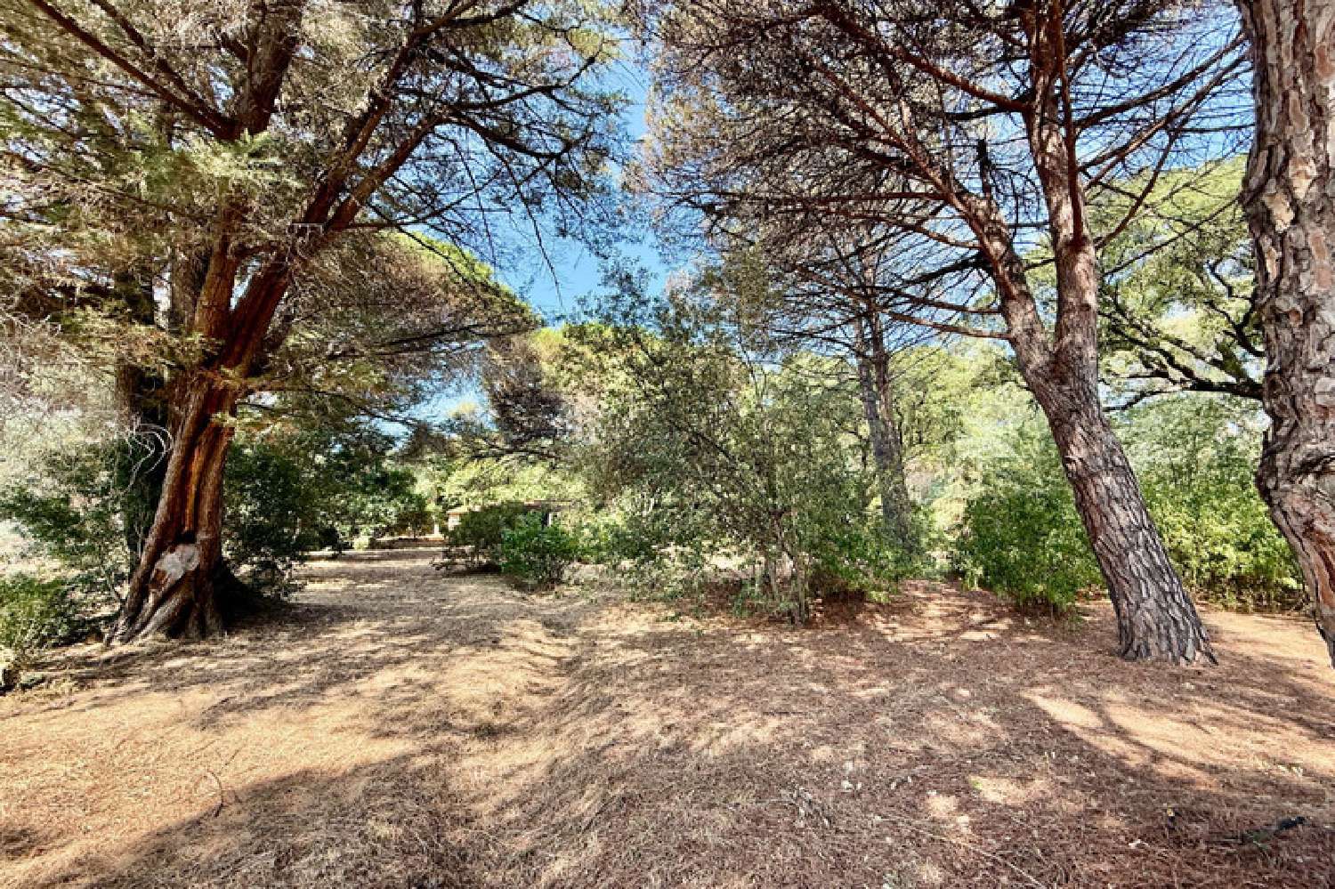  for sale terrain Sainte-Maxime Var 5