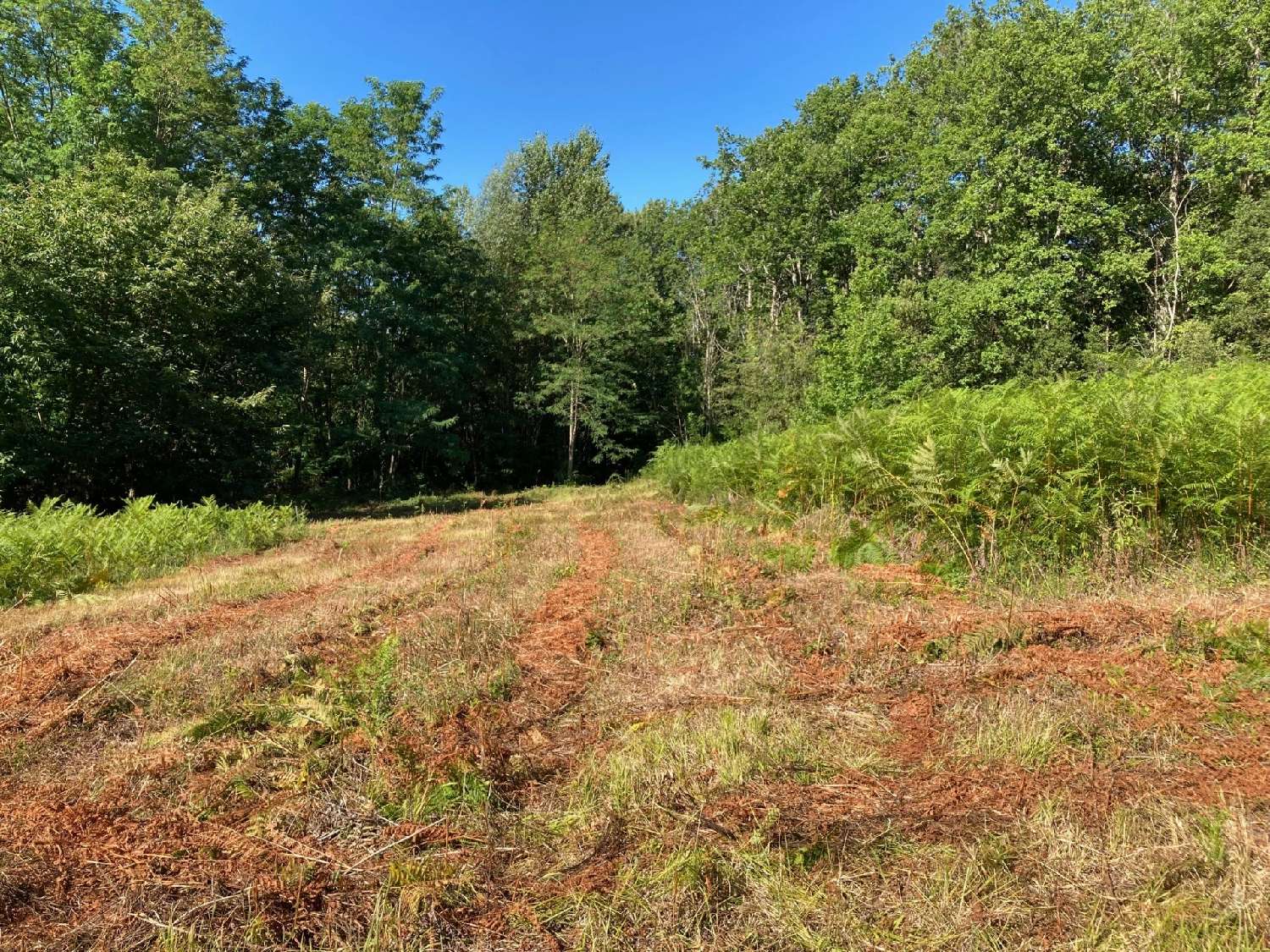  à vendre terrain Sarlat-la-Canéda Dordogne 3