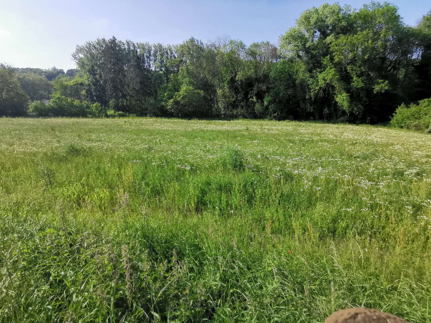  à vendre terrain Sermaise Essonne 1