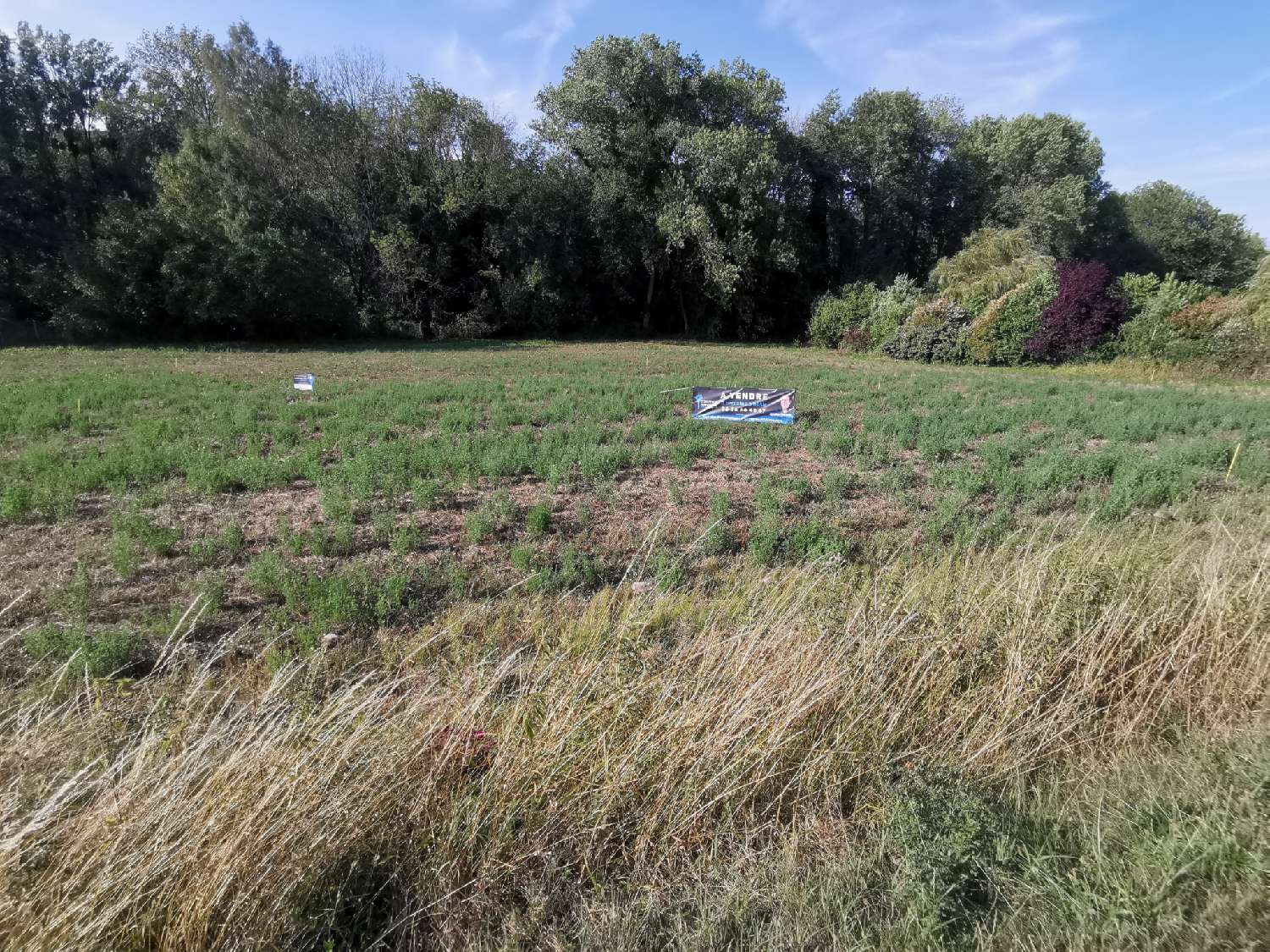  à vendre terrain Sermaise Essonne 2