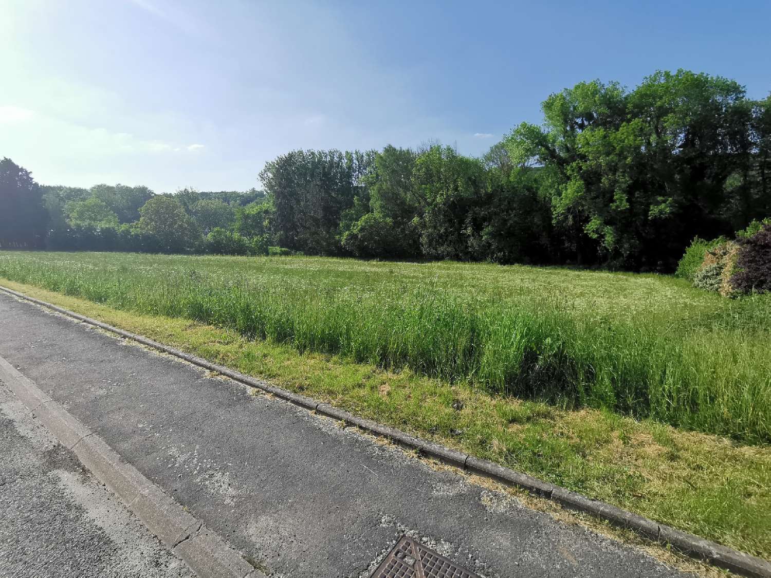  à vendre terrain Sermaise Essonne 4