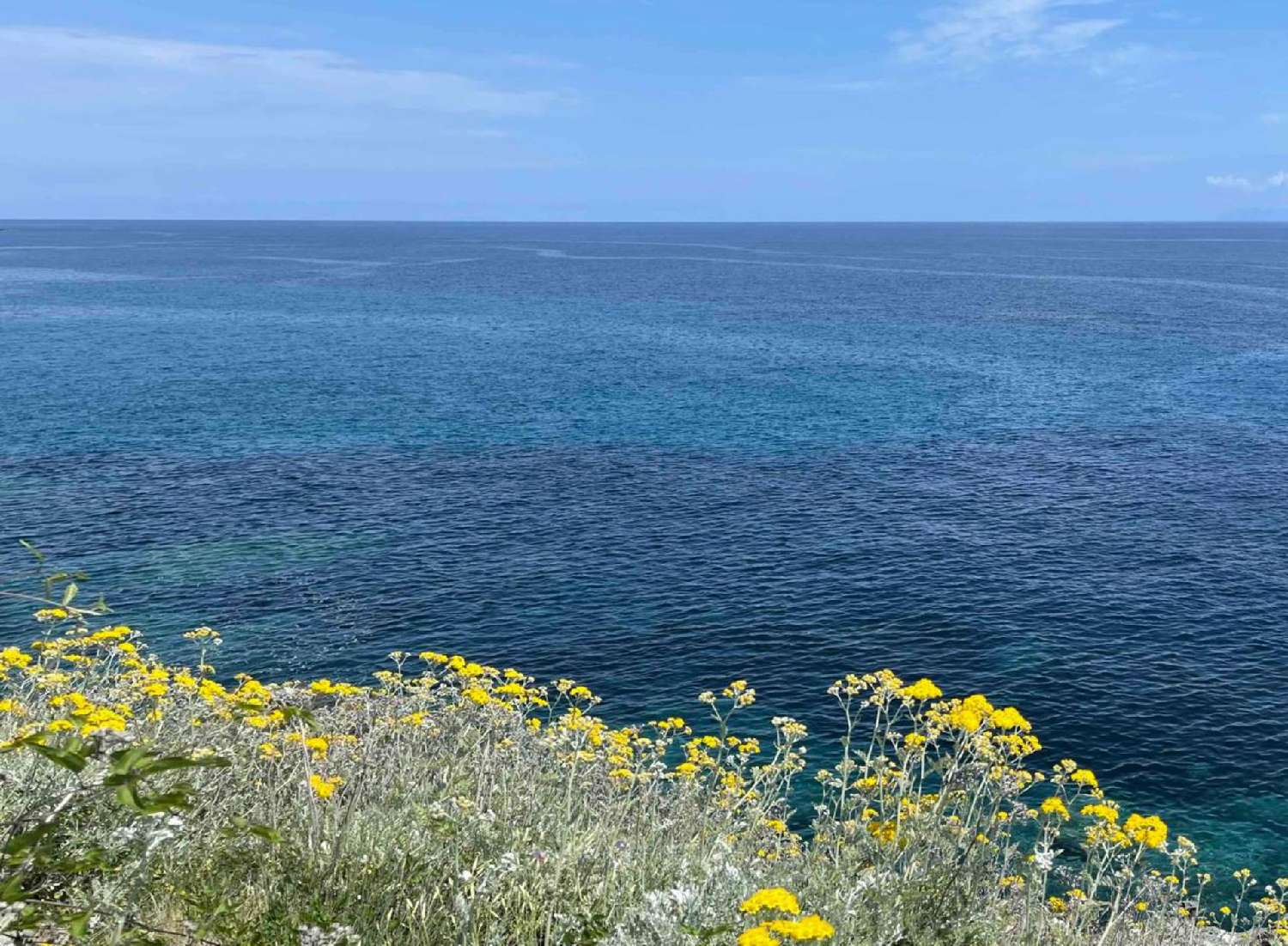 for sale terrain Sisco Haute-Corse 2