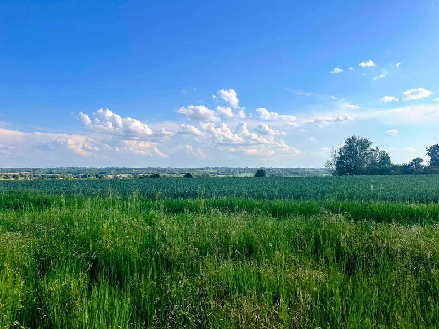  en venta terreno Bazus Haute-Garonne 2