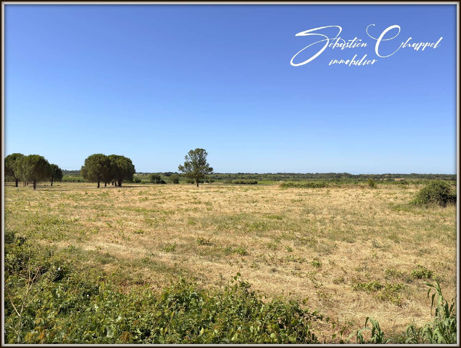  à vendre terrain Tourbes Hérault 8